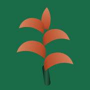 icon-bloom-touch.png