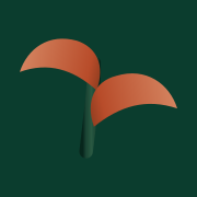 icon-learn-touch.png